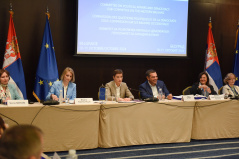 10 October 2024 National Assembly Speaker Ana Brnabic at the opening of the meeting of the Sub-Committee on the Western Balkans of the Parliamentary Assembly of the Council of Europe 