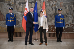 21. децембар 2025. Председница Народне скупштине са председником Словачке 