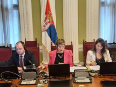 19 July 2021 The delegation of the European Integration Committee at the COSAC videoconference