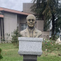 Donji Milanovac (3)