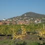 Vrsac (7)